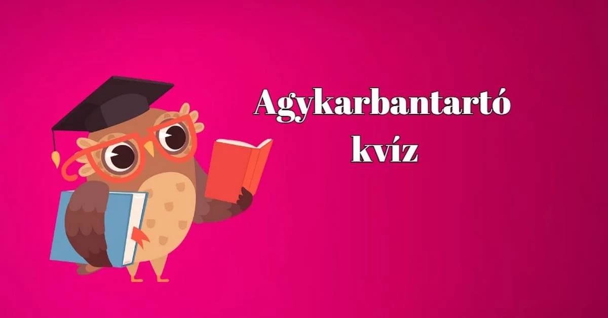 Agykarbantartó - Ebben a napi kvízben nem fogsz csalódni