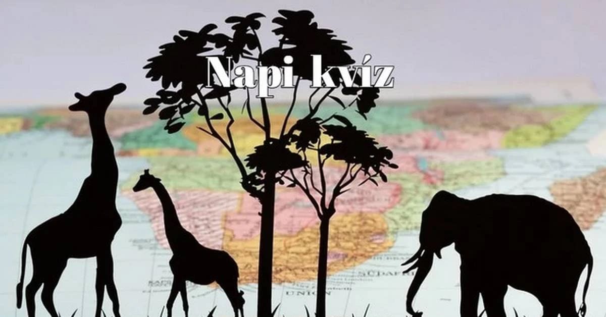 Agykarbantartó kvíz - Az emberek fele tudja csak hibátlanul megoldani ezt a kvízt. Te köztük vagy?