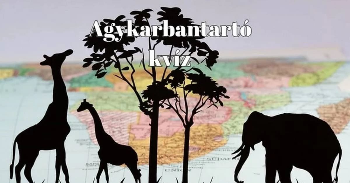Agykarbantartó kvíz - Ha a válaszok kétharmada helyes, talán a zsenik klubjába tartozol