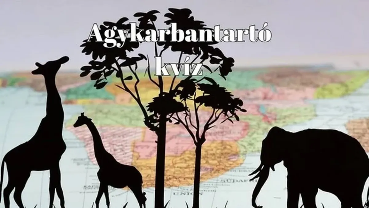 Ha azt mondom, agykarbantartó, ti már tudjátok, mi következik - Napi kvíz