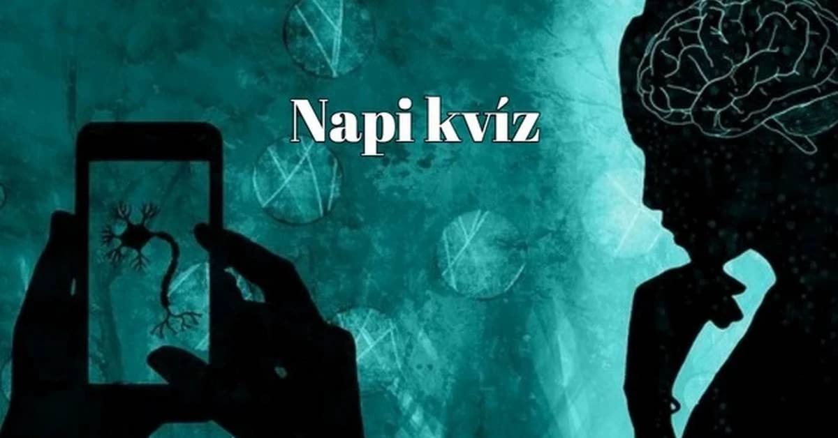 Erre a pár perces napi kvízre szükséged van