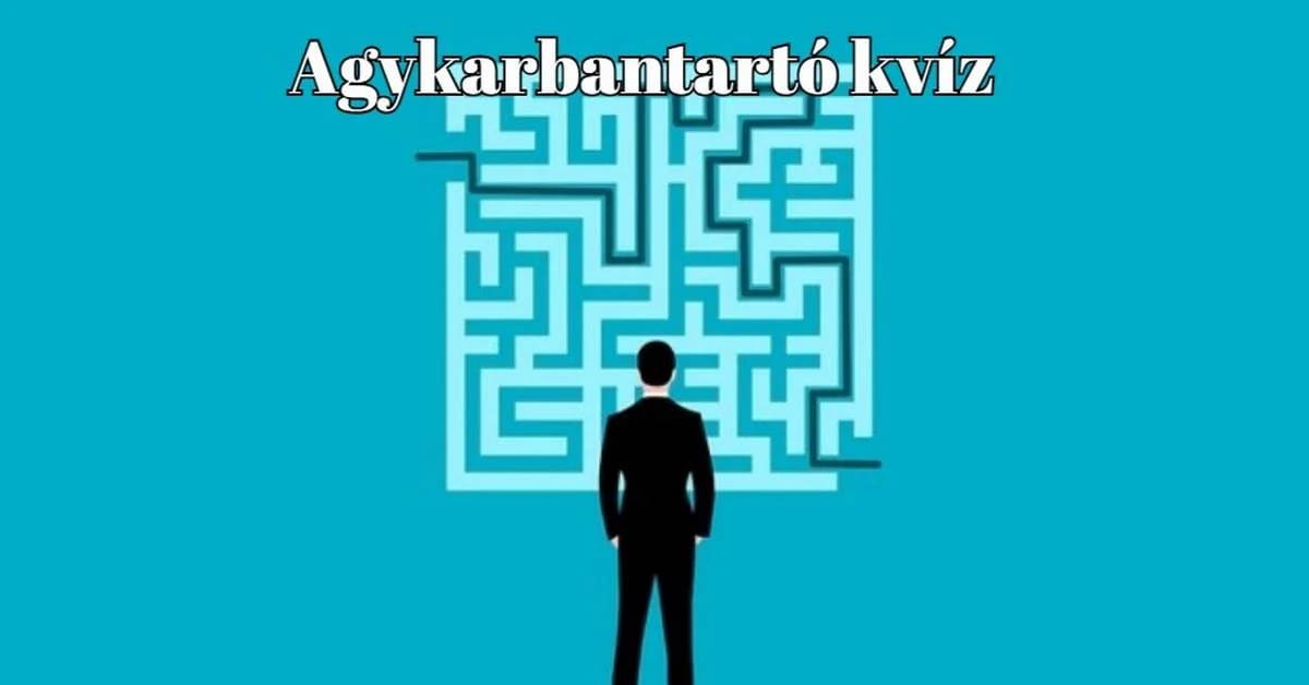 Napi kvíz - Ennek az agykarbantartónak csak akkor van értelme, ha lejátszod