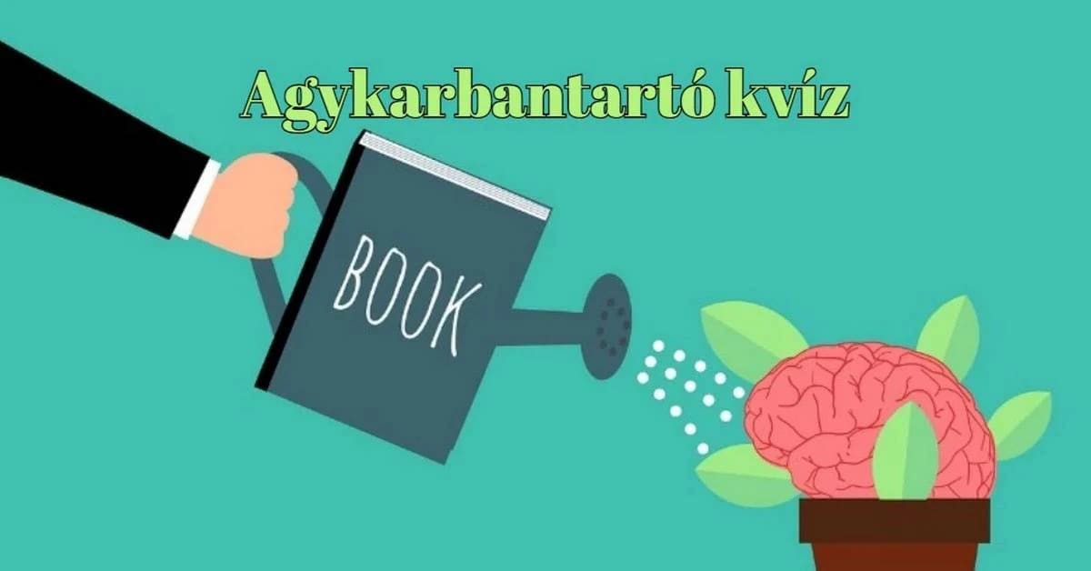 Napi kvíz, melyet mindenki szeretni fog