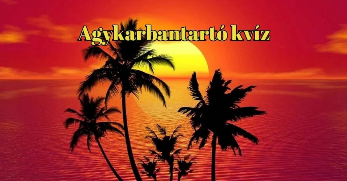 Napi kvízek - legtöbben legalább hat kérdésre helyesen válaszolnak