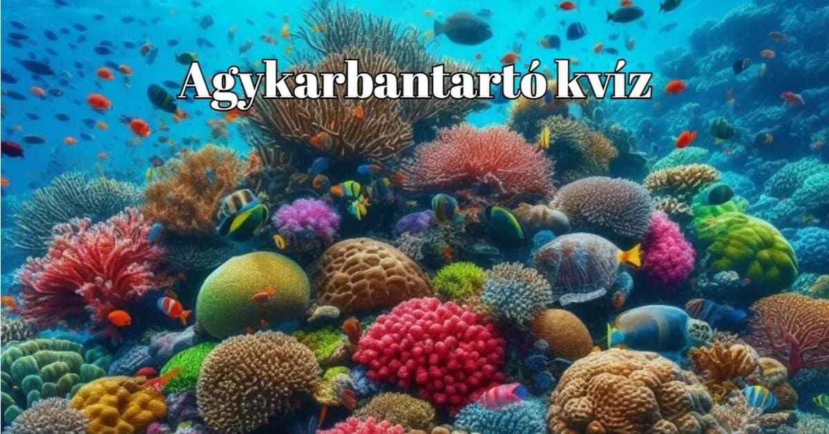 Változatos témájú napi agykarbantartó kvíz. Gyere és játszd le most
